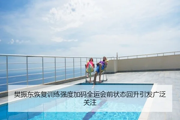 樊振东恢复训练强度加码全运会前状态回升引发广泛关注